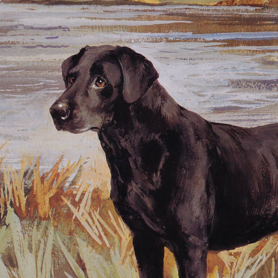 Labrador Retriever with Duck Framed Painting Print