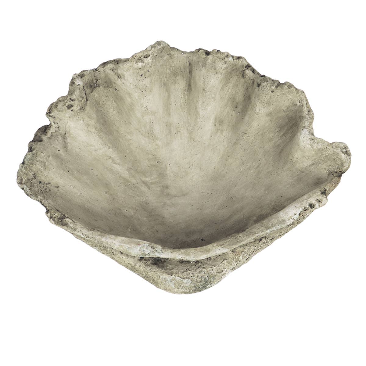 Cast Concrete Clam Shell: Large