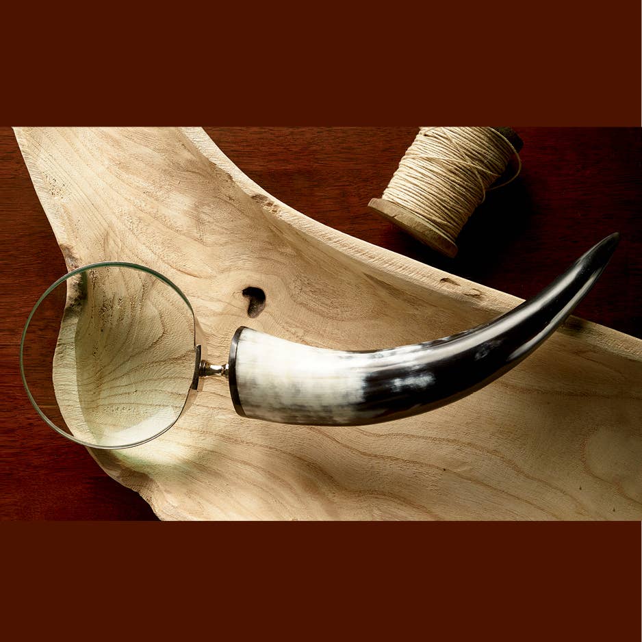 Horn Magnifier