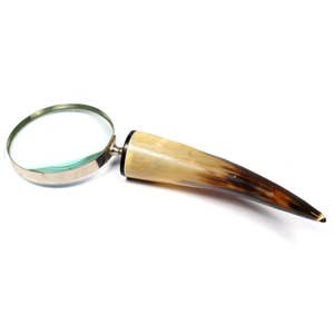 Horn Magnifier