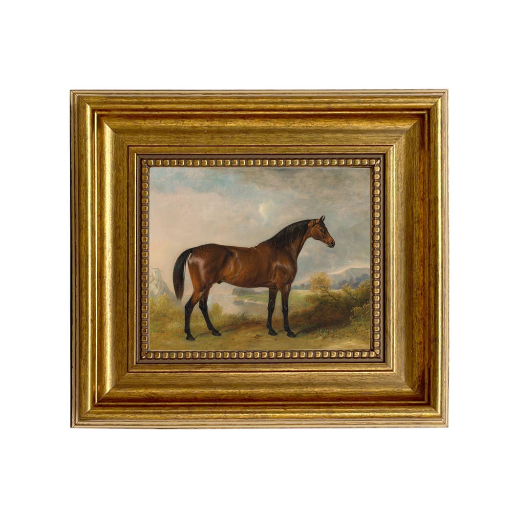 A Bay Hunter Framed Oil Painting Print