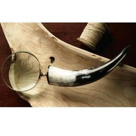 Horn Magnifier