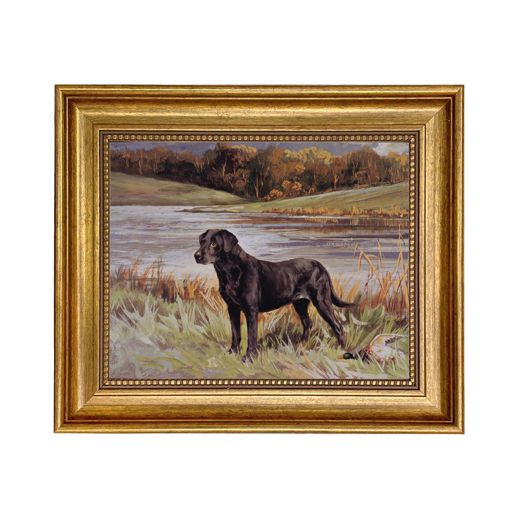 Labrador Retriever with Duck Framed Painting Print