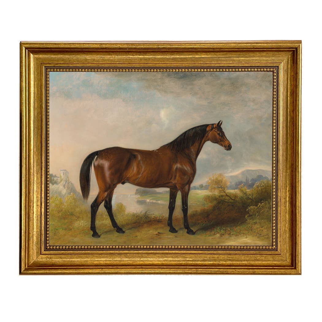 A Bay Hunter Framed Oil Painting Print