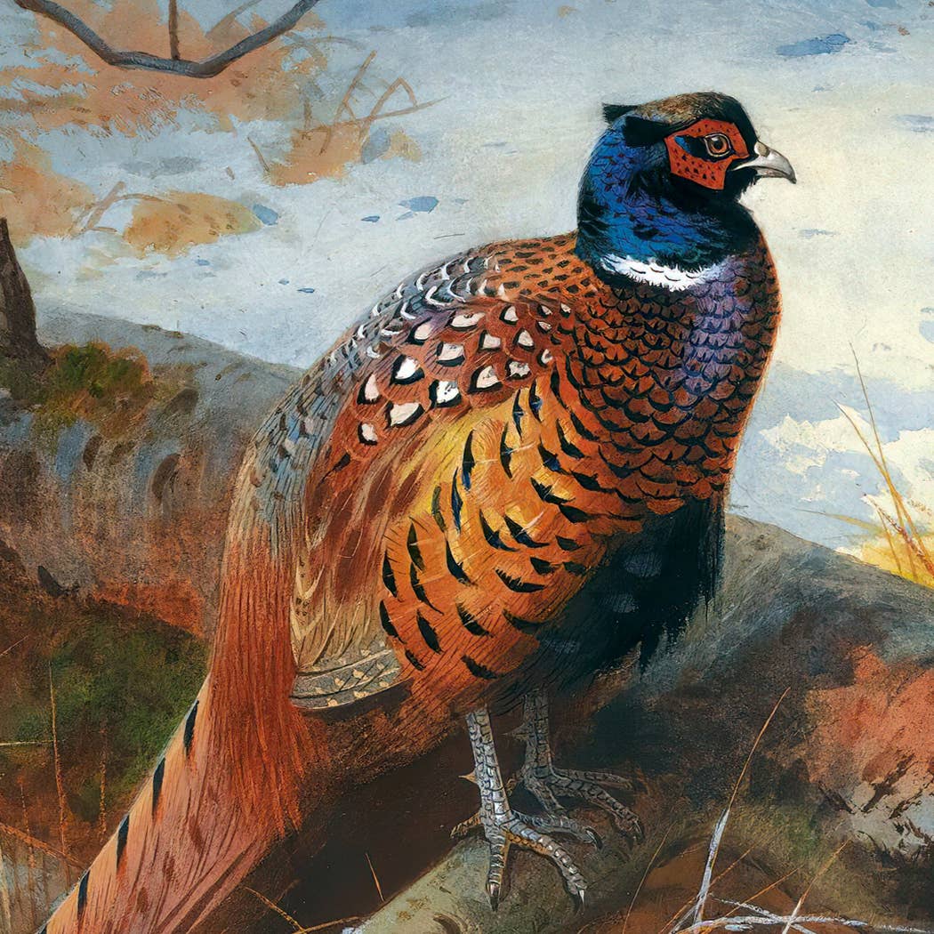 Pheasants in the Snow Framed Oil Painting Print on Canvas