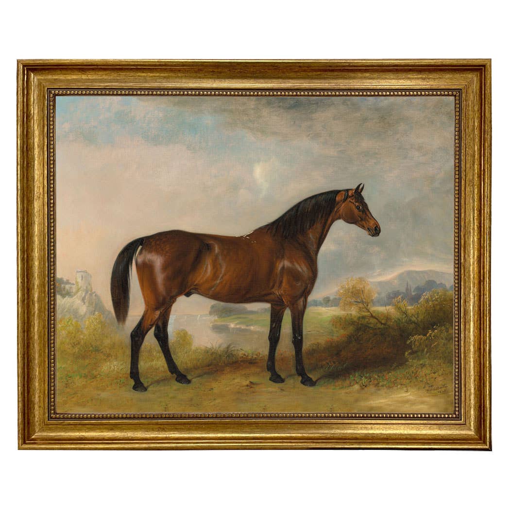 A Bay Hunter Framed Oil Painting Print