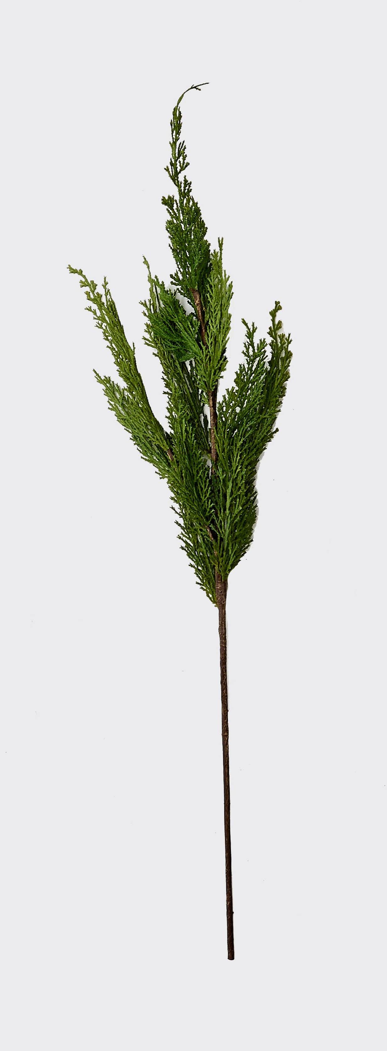 Cedar Spray - 30"