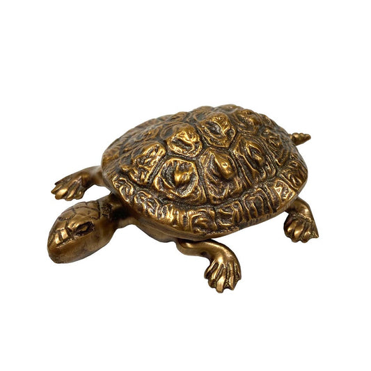 Antiqued Brass Turtle Box w/ Removable Lid
