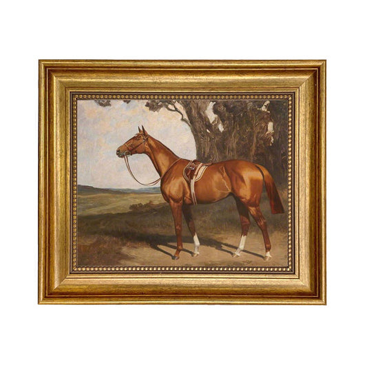 Saddled Chestnut Racehorse Framed Artwork